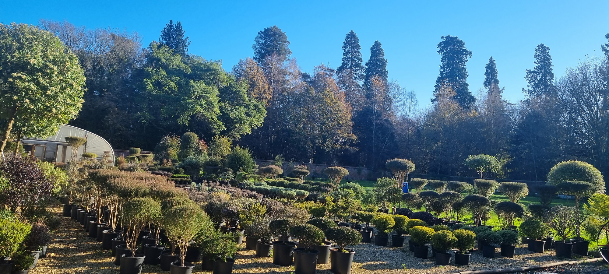 County Park Nursery